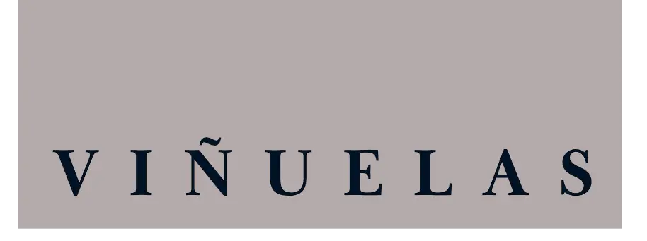 Manuel Viñuelas – Consultor y mentor de negocios